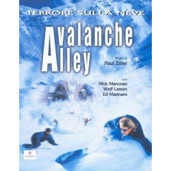 AVALANCHE ALLEY